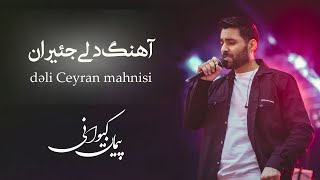 پیمان کیوانی - موزیک ویدیو دلی جئیران | Peyman Keyvani - Dəli Ceyran Mahnisi