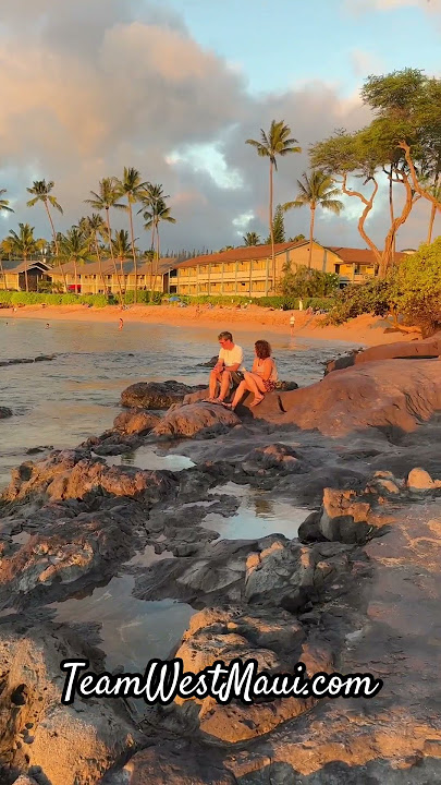 Welcome to #maui 🌴🪸🏄‍♂️☀️🤙❤️👙🐠🐳🌺🌈
