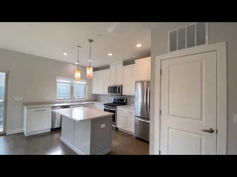 17 Forest Ave, River Forest, IL home video tour