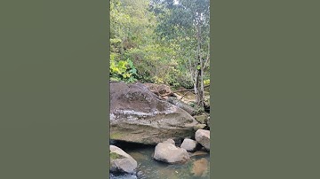Kajadian Batu Basaluh/ Bukit Batu/ Wisata Batu Besar di Batu Putih di HUTAN KALIMANTAN Murung Raya