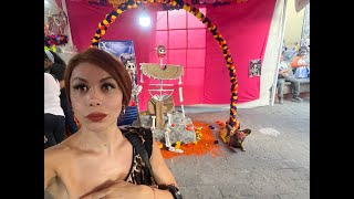 La Hermosa Arlekina está en vivo