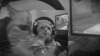 Nashafa Move 🔥 | Arabic Rap Song About Confidence, Power &amp; Boss Energy (2026)