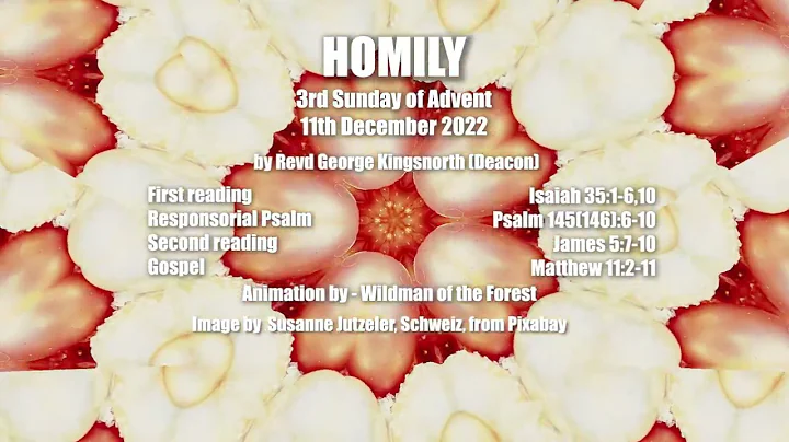 Homily for Third Sunday of Advent. 11th December 2022