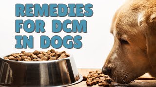 Natural Remedies for DCM in Dogs