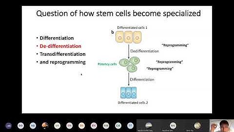 Course 2: Differentiation Stem cells - Tế bào gốc Biệt hoá, tái hoạt chu trình tbg