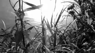Video thumbnail of "SONNE HAGAL - Who has seen the Wind?"