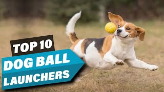 Best Dog Ball Launcher In 2023  Top 10 Dog Ball Launchers Review