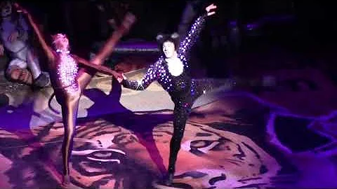 Magical Mr Mistoffelees - Corey John Snide