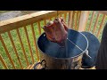 How to Cook a Whole Turkey on the Pit Barrel Cooker