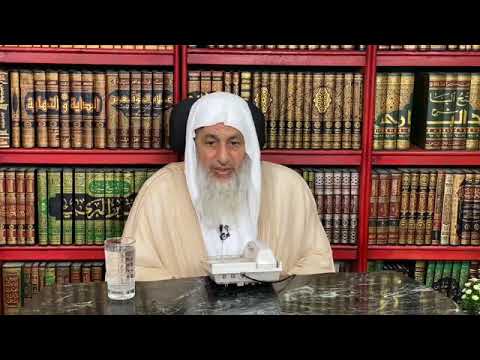 ما معنى حديث لولا حواء لم تخن أنثى زوجها الشيخ مصطفى العدوي