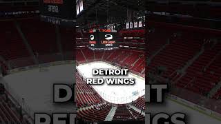 Biggest NHL Arenas #nhl #hockey #shorts