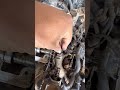Sincronización de tiempo sin herramienta Volkswagen fsi 2.0 Passat, Gti, Audi A1 2006-2010