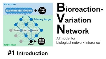 Bioreaction-Variation Network (BVN) #1 Introduction