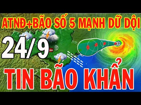 🔴[Trực Tiếp] Dự