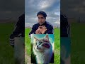 عمرك شوفت قطه بتصلي 😭😱شوف الفيديو للاخر 😱 #foryou #germany #funny