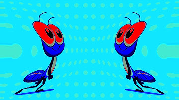 Bob Zoom e Suas Brincadeiras Infantis – Vídeo Completo Super Divertido | IL Vocodex Effects