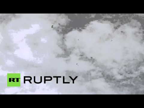 В Ленинградской области