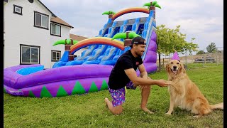 My Dog Rents Water Park for Birthday!