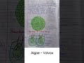 Algae- Volvox habit and habitat and reproduction #algae #zoology #bsc #msc #notes