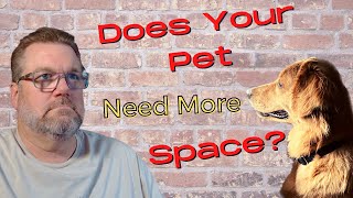 Moving for pets, larger yard, more space. #shorts #petparent #dogdad