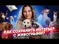 7 полезных идей для домашних животных в интерьере