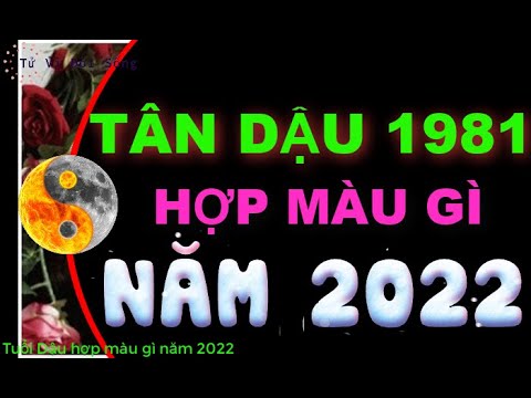 Tuổi Dậu Hợp Màu Gì - Tuổi Tân Dậu 1981 hợp màu gì 2022 để mang đến Tài Lộc