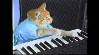 Keyboard Cat's Goat Gets It!