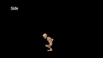 Vertical Jump(All angles)