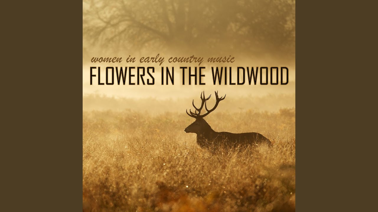 Walking in the King's Highway YouTube