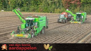 Potato harvest at Van den Borne Aardappelen season 2022