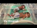 Activist pleas for more incubators for premature babies trapped in Gaza hospital