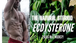 Spinach Works 25Lb Increase On Incline Bench In 4 Weeks Team 3D Alpha Was Right