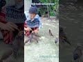#veterinarynurse #veterinarypharmacist #cow #shortvideo #funnycat #pharmafarm #animals #catvideos