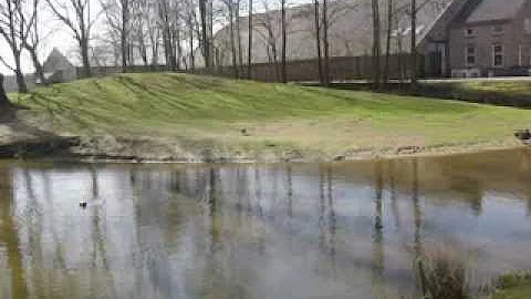 Northern Lights, Wood N' Loop Live from Finsterwolde, Netherlands