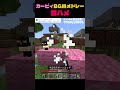 #マインクラフト #minecraft #マイクラ