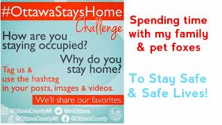 #OttawaStaysHome - #StayHome and help save lives #WithMe by Kristina Wieghmink 409 views 4 years ago 2 minutes, 42 seconds
