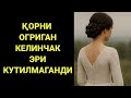 ЯНГИ КЕЛИНЧАК УША КУНИ КОРНИ ОГРИБ