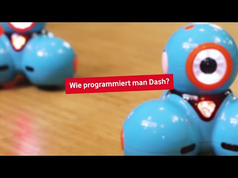 Dash - Wie programmiert man Dash?