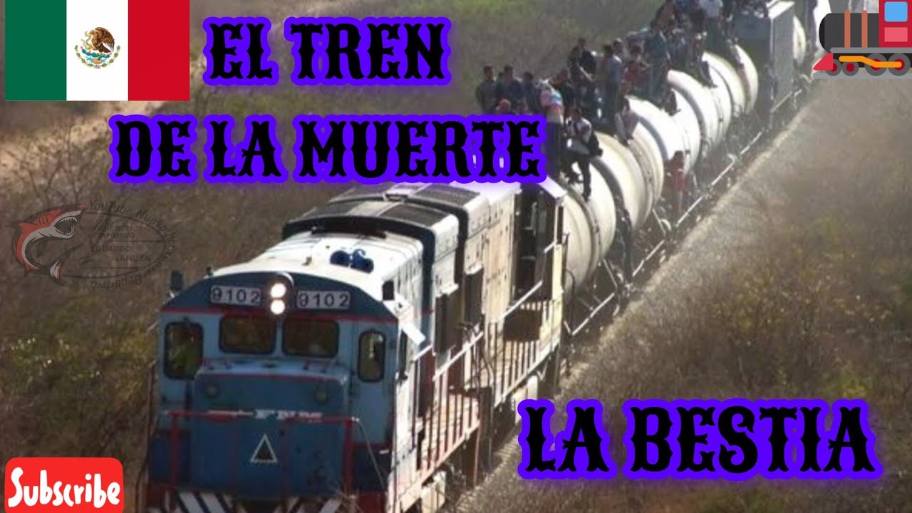 🇲🇽 EL TREN DE LA MUERTE LA BESTIA MEXICO 