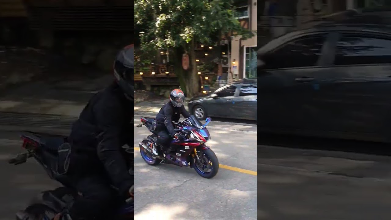 로코갤러리
