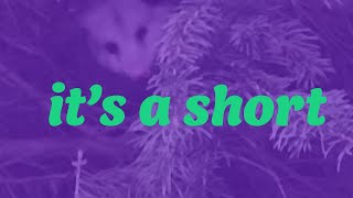 3-track wip - honeybreak