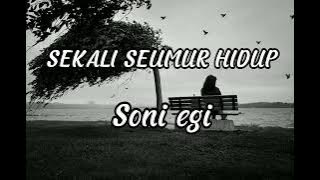 SEKALI SEUMUR HIDUP - LESTI - COVER BY SONI EGI ( LIRIK LAGU )