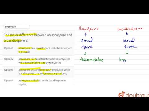 Video: Is ascospore en basidiospore?