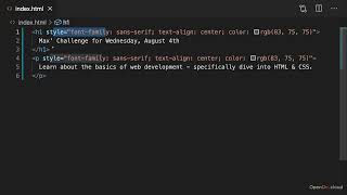 Part 13 Working with the Browser Developer Tools Day 3 opendir cloud