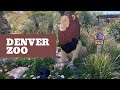 Зоопарк Денвера, штат Колорадо. Влог из США.