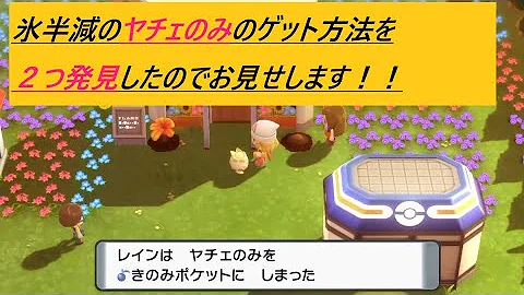 スターのみ サンのみ 連れ歩き きのみ 厳選 500歩でも入手可能 リセマラ方法解説 ポケモンbdsp 検証編 Mp3