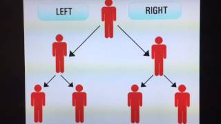 Binary Compensation Plan - Total Life Changes