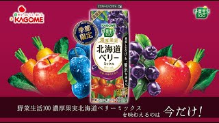 2022年4月19日　野菜生活100 北海道ベリーミックス