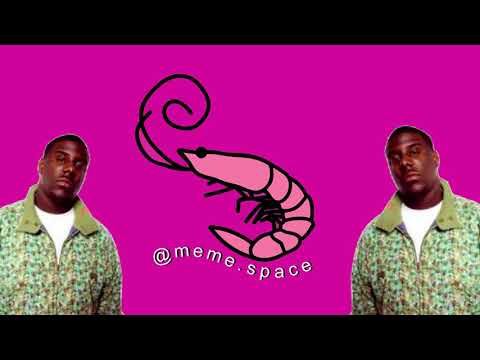 interior-flamingo-alligator