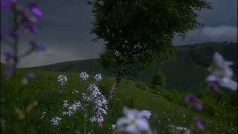 قران كريم||اجر لي و لكم